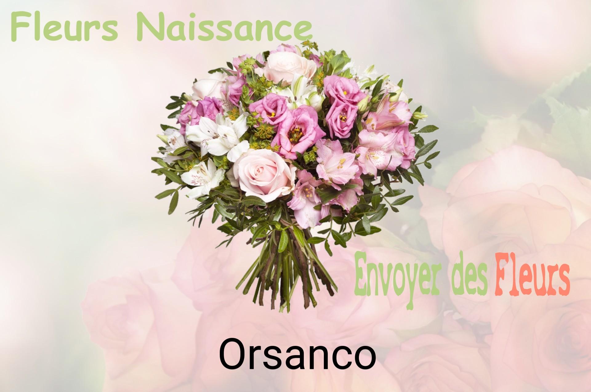 Bouquet de fleurs de naissance livré à Orsanco