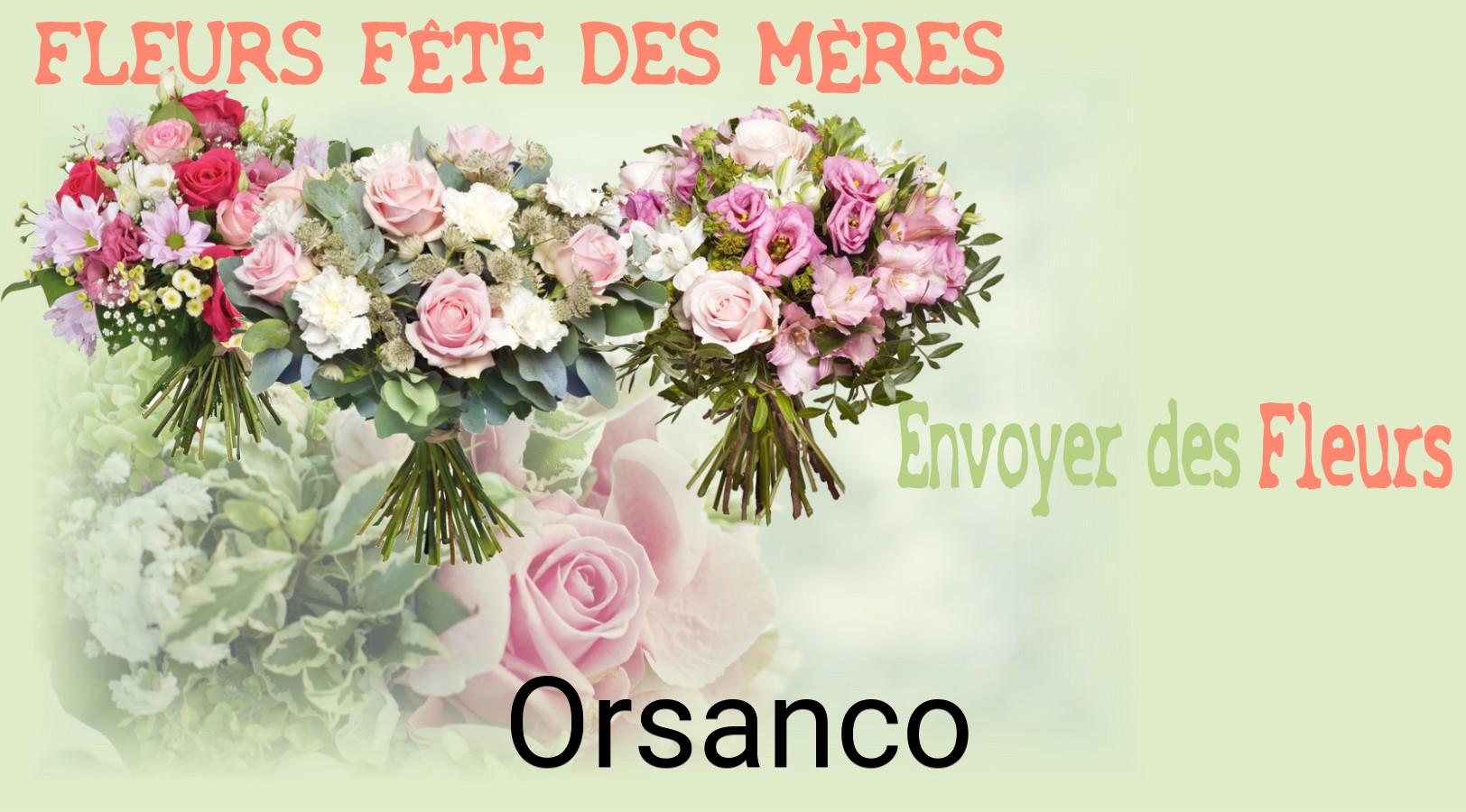Bouquet de Fête des Mères livré à Orsanco
